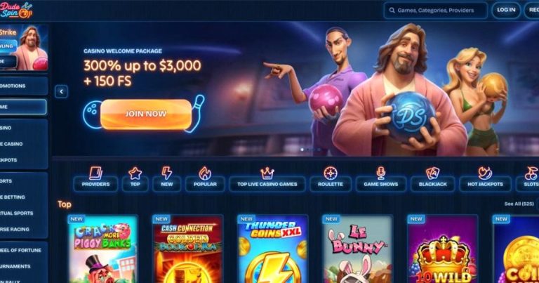 Dudespin Kundensupport